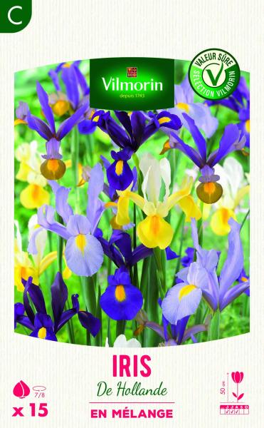 Bulbes à fleurs à planter au printemps - Iris de Hollande en Mélange (x15) - face recto